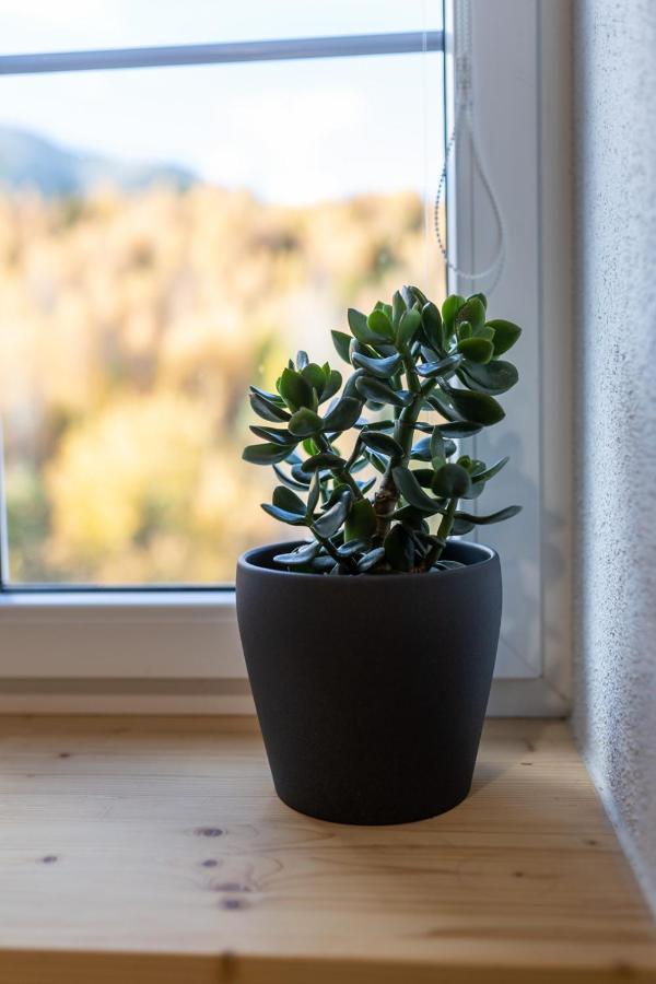 Vila Vlasta Apt. #401 Vysoké Tatry Buitenkant foto