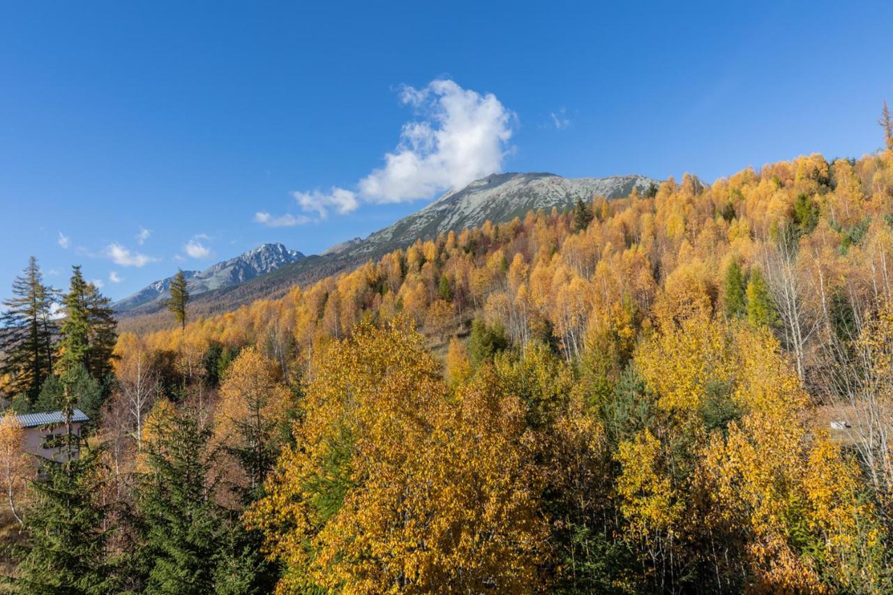 Vila Vlasta Apt. #401 Vysoké Tatry Buitenkant foto